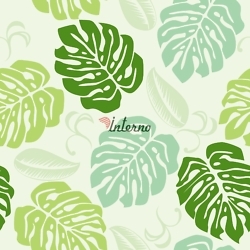 Monstera