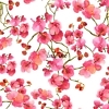 Orchidea