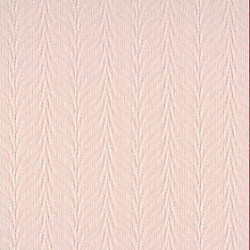 Magnolia 7