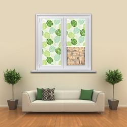 Monstera-int